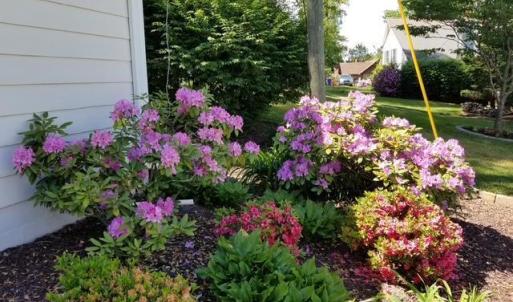 Photo #69 of 1740 Timberlake Drive, Lynchburg, VA 0.4 acres