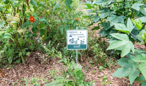 Photo #67 of 127 Richeson Drive, Lynchburg, VA 1.5 acres