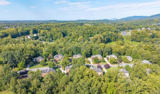 Photo #76 of 107 Trinity Court, Lynchburg, VA 0.9 acres