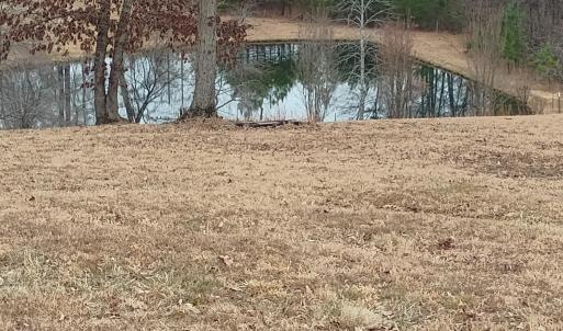 Photo #3 of 4183 TYE RIVER Road, Amherst, VA 14.3 acres