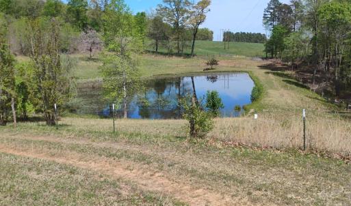 Photo #65 of 4183 TYE RIVER Road, Amherst, VA 14.3 acres