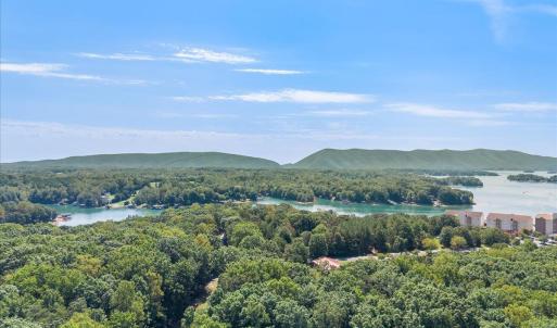 Photo #60 of 1054 Barrow Hills Drive, Huddleston, VA 0.2 acres