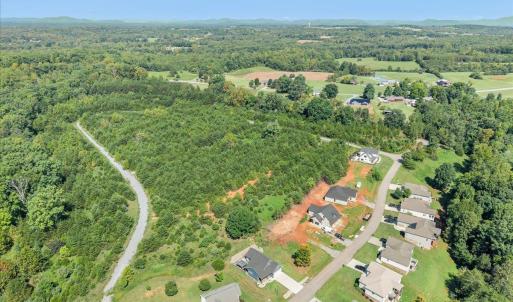 Photo #50 of 1054 Barrow Hills Drive, Huddleston, VA 0.2 acres