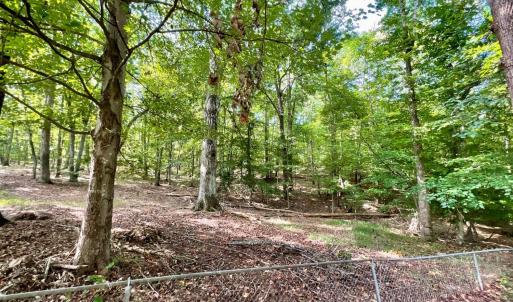 Photo #28 of 171 Shelter Lane, Amherst, VA 6.0 acres