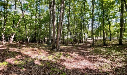 Photo #30 of 171 Shelter Lane, Amherst, VA 6.0 acres