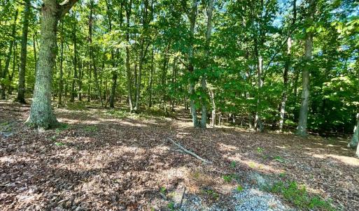 Photo #29 of 171 Shelter Lane, Amherst, VA 6.0 acres
