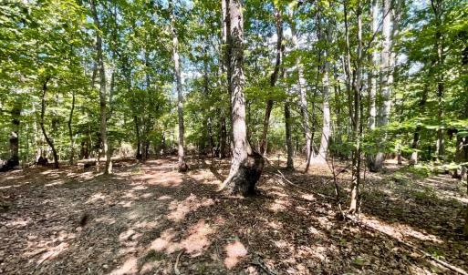 Photo #31 of 171 Shelter Lane, Amherst, VA 6.0 acres