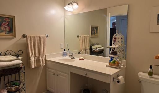 Hall/Primary bath sink