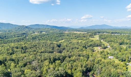 Photo #53 of 101 Franklin Place, Lynchburg, VA 0.8 acres
