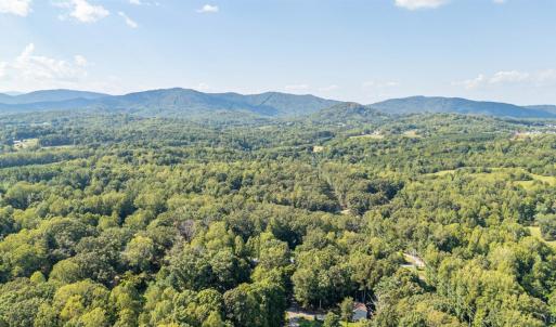 Photo #52 of 101 Franklin Place, Lynchburg, VA 0.8 acres