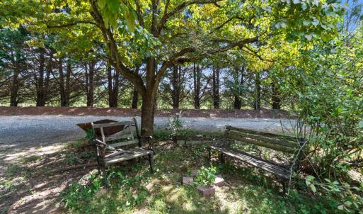 Photo #89 of 2668 West Perch Rd., Monroe, VA 9.4 acres