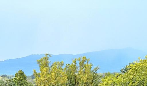 Photo #12 of 1005 4th Street, Lynchburg, VA 0.1 acres