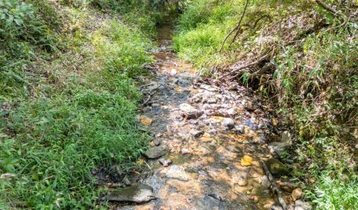 Photo #61 of 1460 Masons Mill Road, Evington, VA 24.1 acres