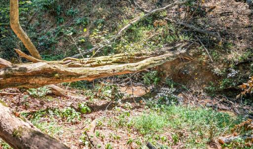 Photo #45 of 1435 Belmont Drive, Bedford, VA 0.8 acres