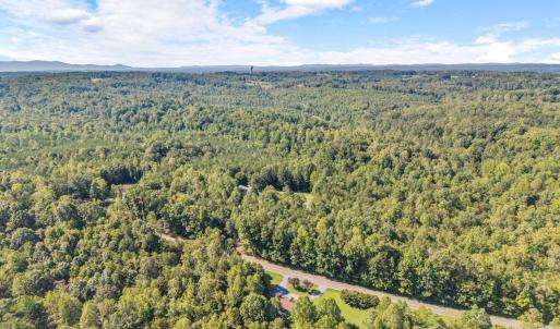 Photo #47 of 2898 White House Road, Moneta, VA 1.1 acres