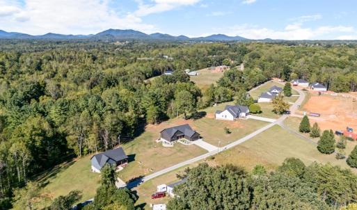 Photo #61 of 1837 Wingfield Drive, Goode, VA 1.0 acres