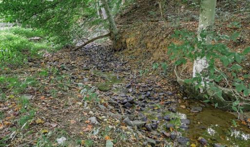 Photo #39 of 178 Greenwood Drive, Madison Heights, VA 0.7 acres