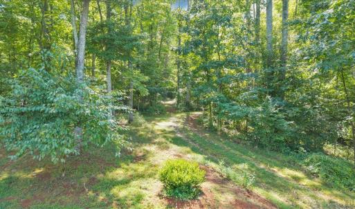 Photo #64 of 181 Mobley Mountain Road, Amherst, VA 40.0 acres