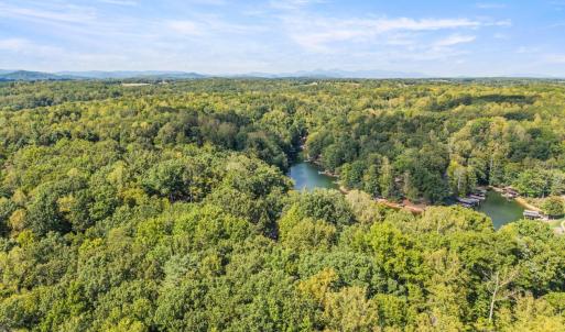 Photo #66 of 710 Forest Lawn Drive, Moneta, VA 0.9 acres