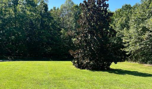 Photo #7 of 282 Bryant Road, Madison Heights, VA 2.9 acres