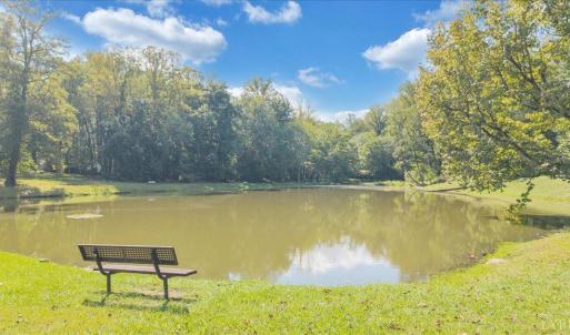 This is the town pond a half a block from the house - lovely neighborhood photo.