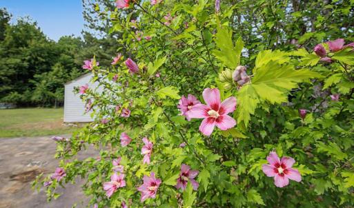 Photo #44 of 632 Namozine Road, Crewe, VA 5.1 acres