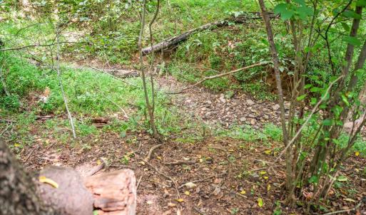 Photo #36 of 6707 Coffee Road, Forest, VA 1.6 acres