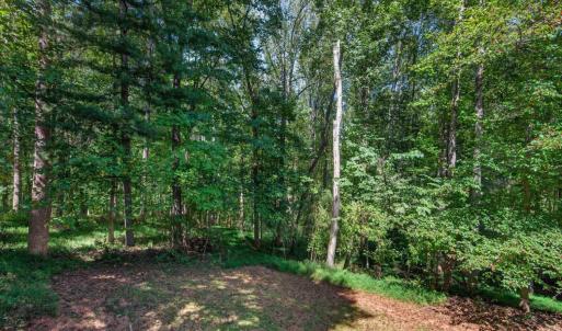 Photo #42 of 1362 Boonsboro Place, Lynchburg, VA 0.6 acres