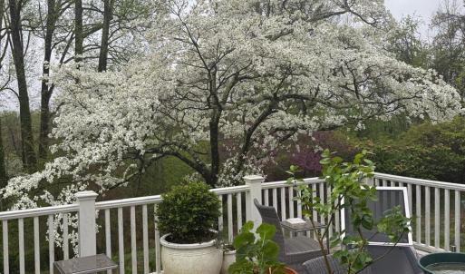 Photo #78 of 952 Rothowood Road, Lynchburg, VA 2.2 acres