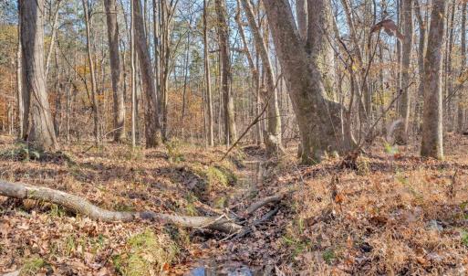 Photo #70 of 5050 Falkland Road, Scottsburg, VA 159.2 acres