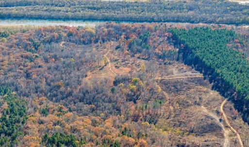Photo #79 of 5050 Falkland Road, Scottsburg, VA 159.2 acres