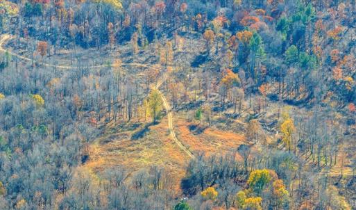 Photo #78 of 5050 Falkland Road, Scottsburg, VA 159.2 acres