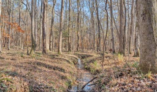 Photo #69 of 5050 Falkland Road, Scottsburg, VA 159.2 acres