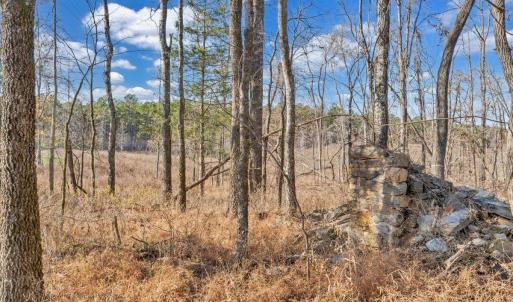 Photo #68 of 5050 Falkland Road, Scottsburg, VA 159.2 acres