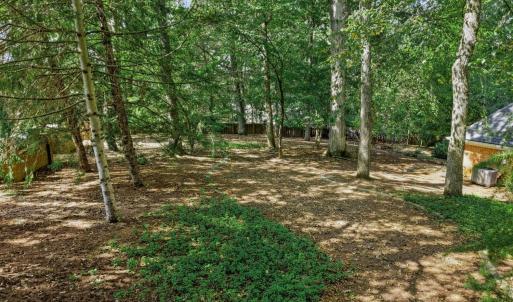 Photo #79 of 805 Ivy Lake Drive, Forest, VA 1.8 acres