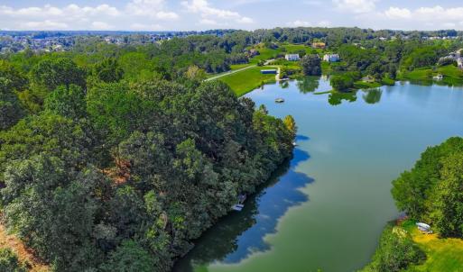 Photo #91 of 805 Ivy Lake Drive, Forest, VA 1.8 acres