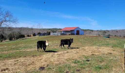 Photo #1 of 1975 Bellview, Appomattox, VA 169.6 acres