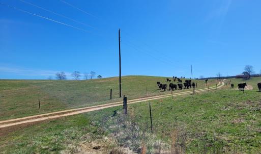 Photo #18 of 1975 Bellview, Appomattox, VA 169.6 acres