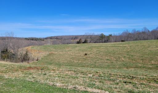 Photo #14 of 1975 Bellview, Appomattox, VA 169.6 acres