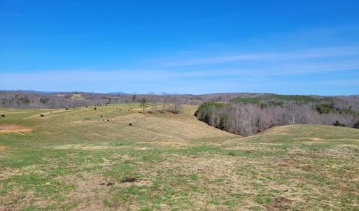 Photo #30 of 1975 Bellview, Appomattox, VA 169.6 acres