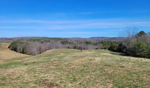Photo #28 of 1975 Bellview, Appomattox, VA 169.6 acres