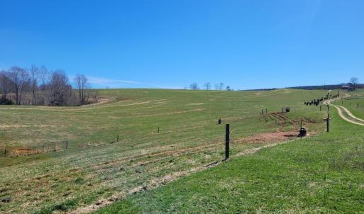 Photo #2 of 1975 Bellview, Appomattox, VA 169.6 acres