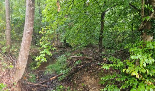 Photo #24 of 155 James Lane, Hurt, VA 4.5 acres