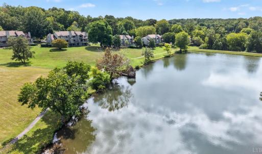Photo #50 of 2111 Deer Run, Forest, VA 0.0 acres