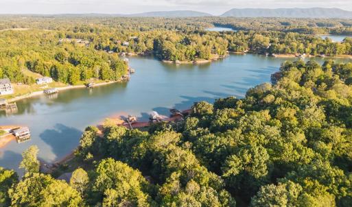 Photo #85 of 118 Creeden Drive, Moneta, VA 0.9 acres
