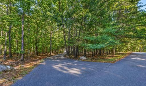 Photo #59 of 118 Creeden Drive, Moneta, VA 0.9 acres