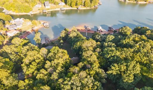 Photo #79 of 118 Creeden Drive, Moneta, VA 0.9 acres