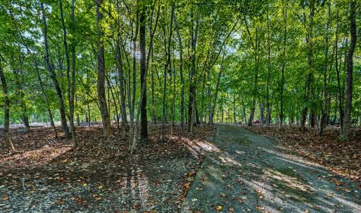 Photo #60 of 118 Creeden Drive, Moneta, VA 0.9 acres