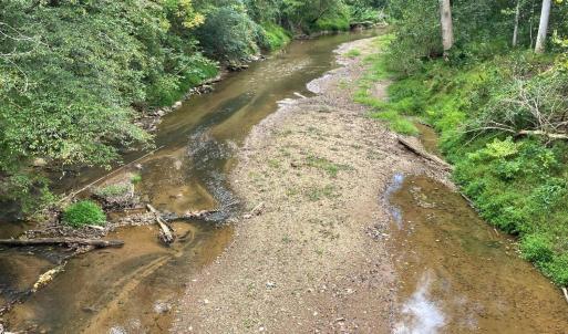 Blackwater creek