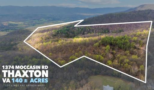 Photo #81 of 1374 Moccasin Rd, Thaxton, VA 142.0 acres